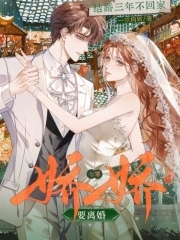 结婚三年不回家？七零娇娇要离婚结婚三年不回家？七零娇娇要离婚