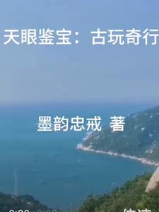 天眼鉴宝：古玩奇行天眼鉴宝：古玩奇行